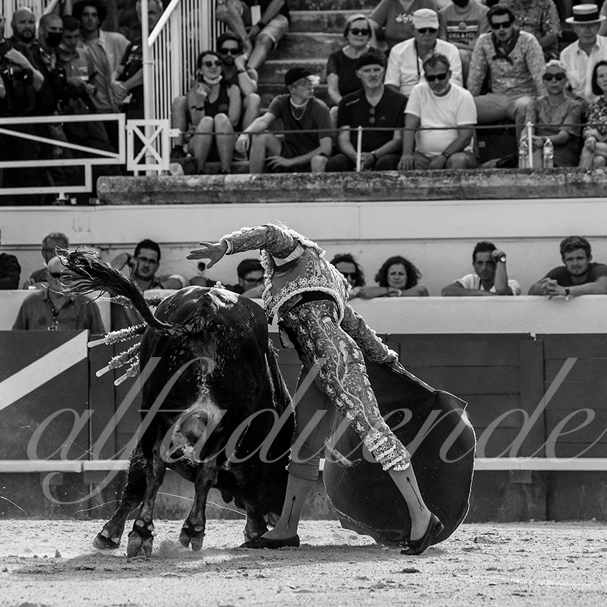 20210815 beziers alfaduende 008 fd