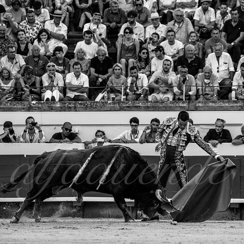 20210815 beziers alfaduende 009 fd