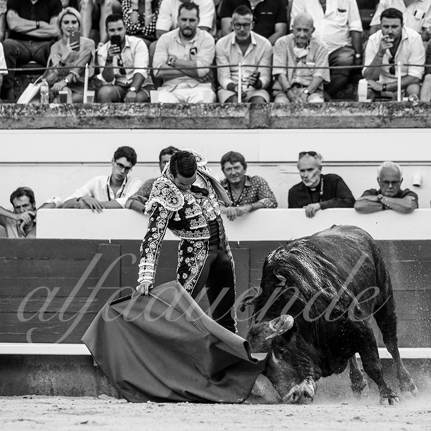 20210815 beziers alfaduende 010 fd