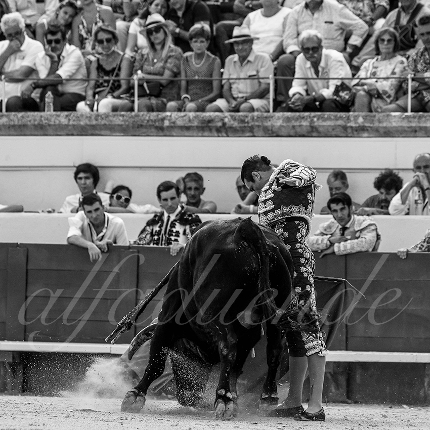 20210815 beziers alfaduende 011 fd