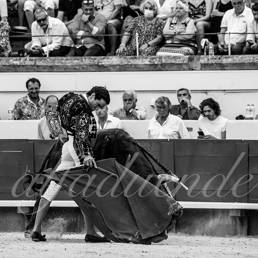 20210815 beziers alfaduende 012 fd