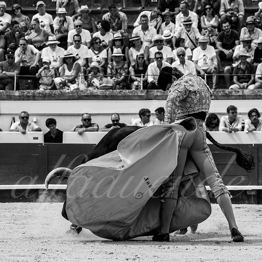 20220814 nov beziers 004