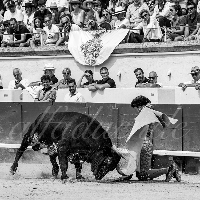 20220814 nov beziers 005