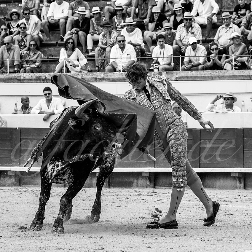 20220814 nov beziers 006