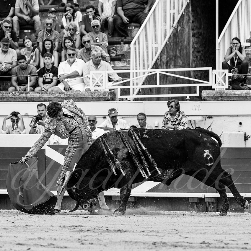 20220814 nov beziers 007