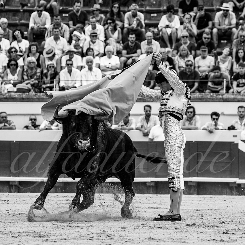 20220814 nov beziers 008