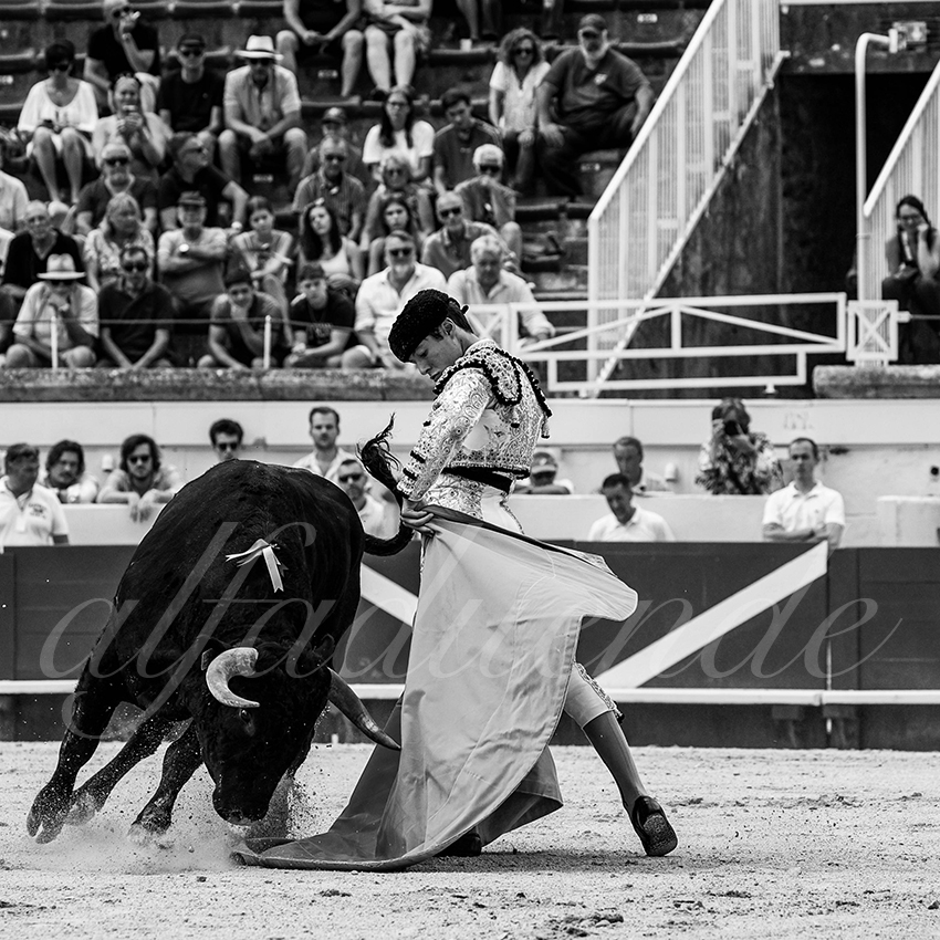 20220814 nov beziers 009