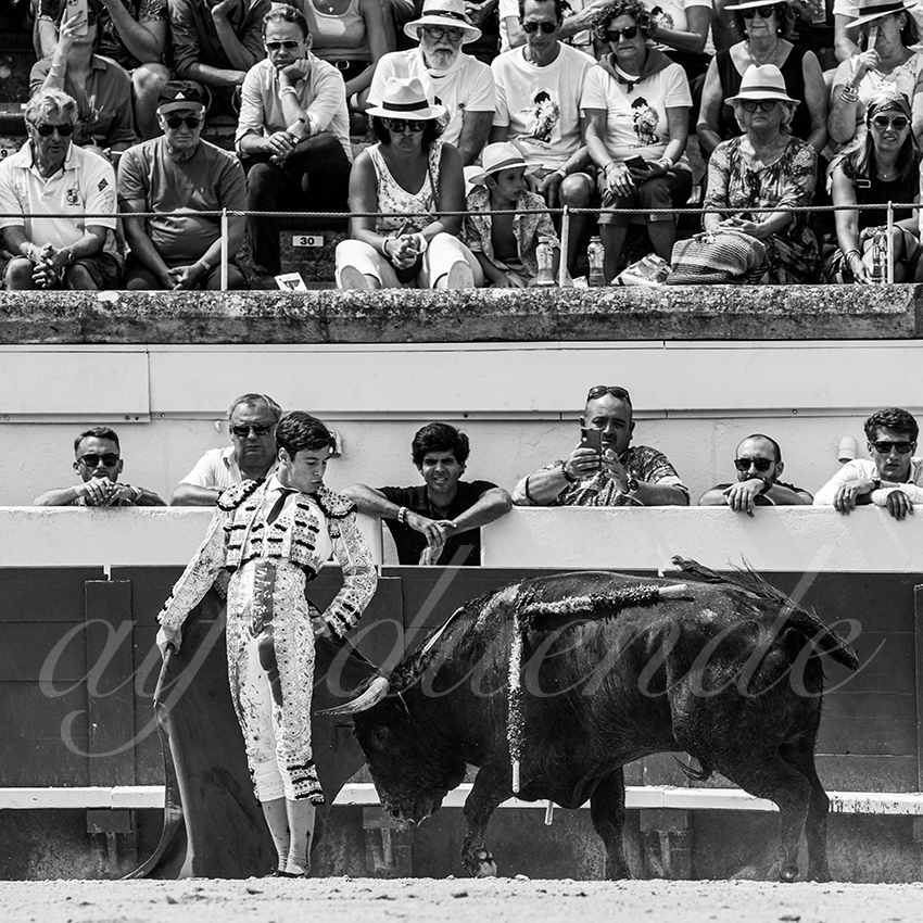 20220814 nov beziers 010