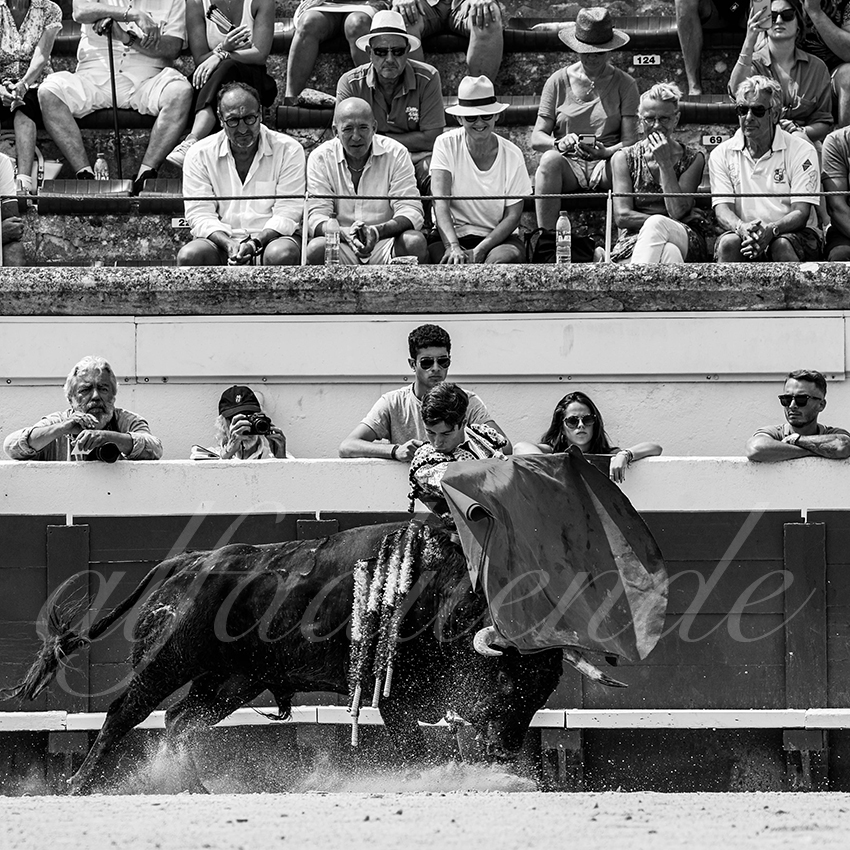 20220814 nov beziers 011