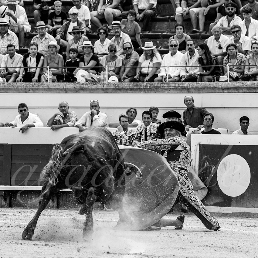 20220814 nov beziers 015