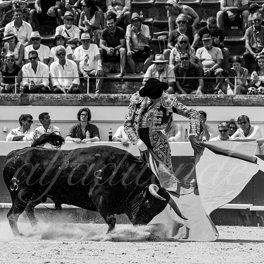 20220814 nov beziers 016