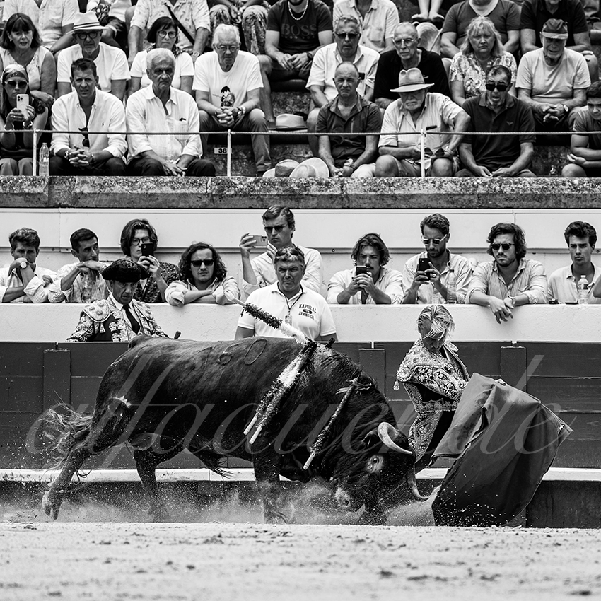 20220814 nov beziers 017