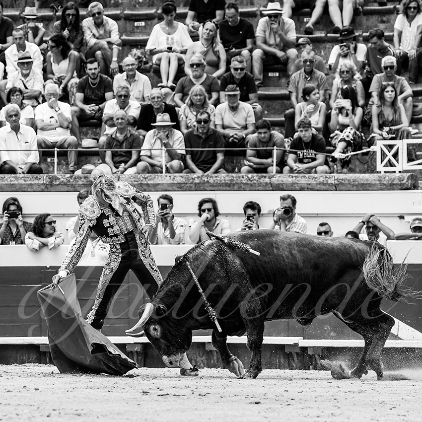 20220814 nov beziers 018