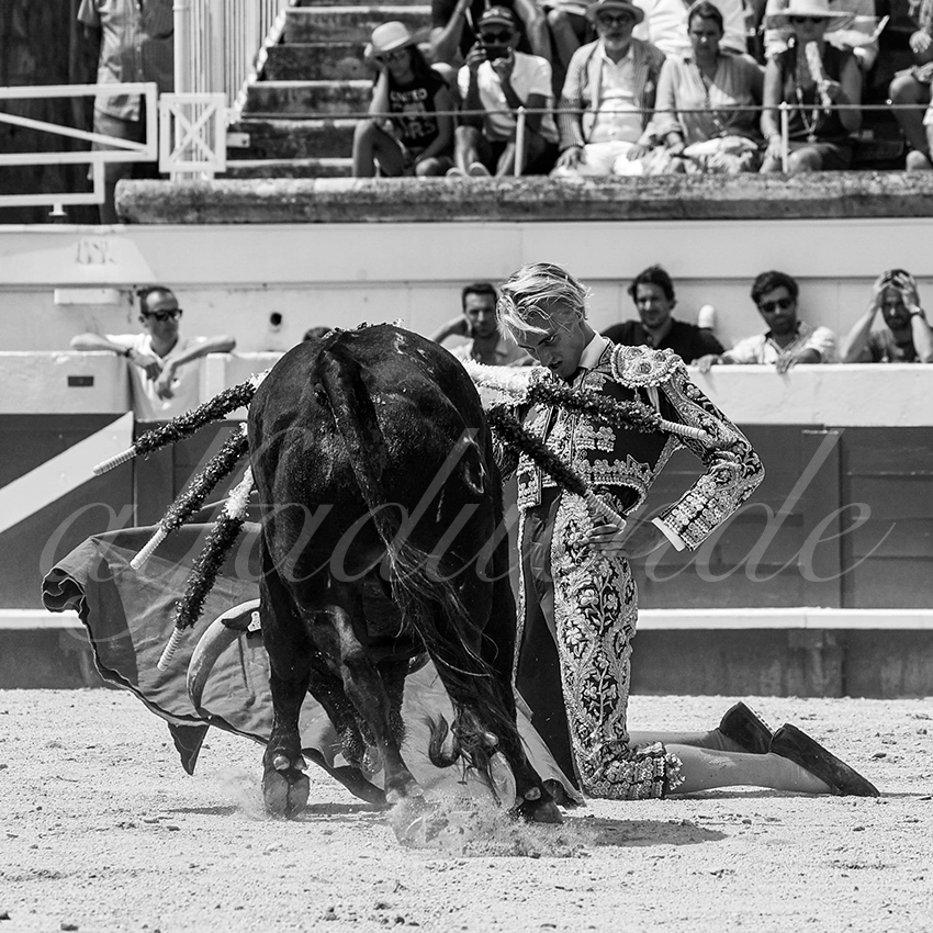 20220814 nov beziers 019