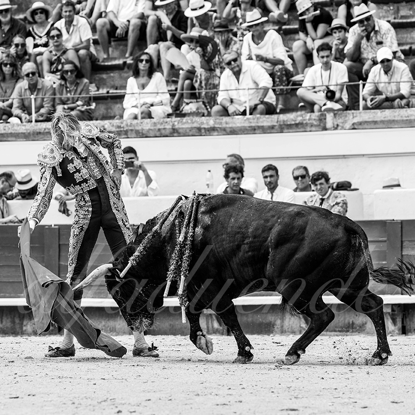 20220814 nov beziers 020