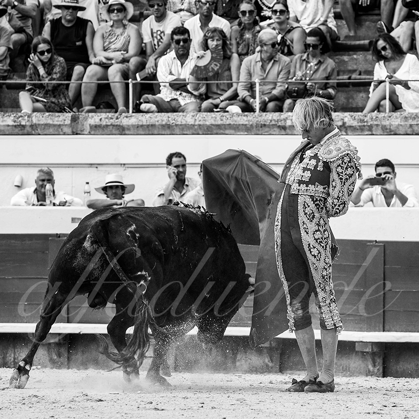 20220814 nov beziers 021