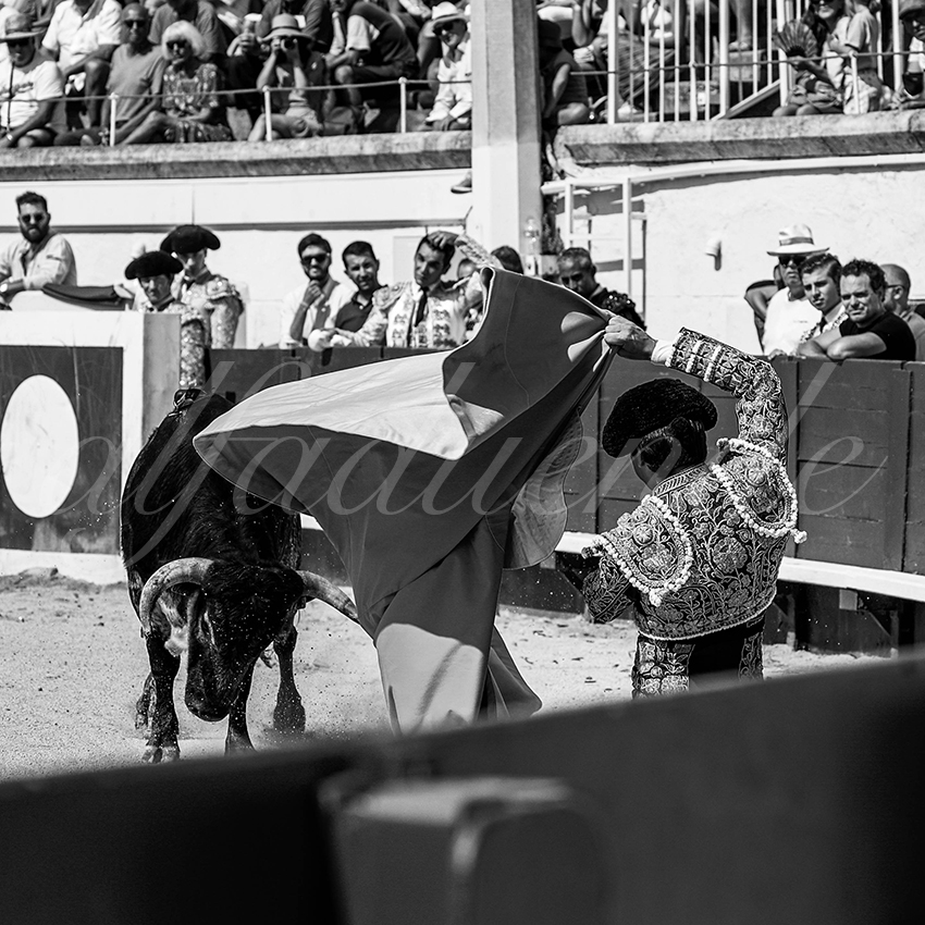 20220815 beziers 003