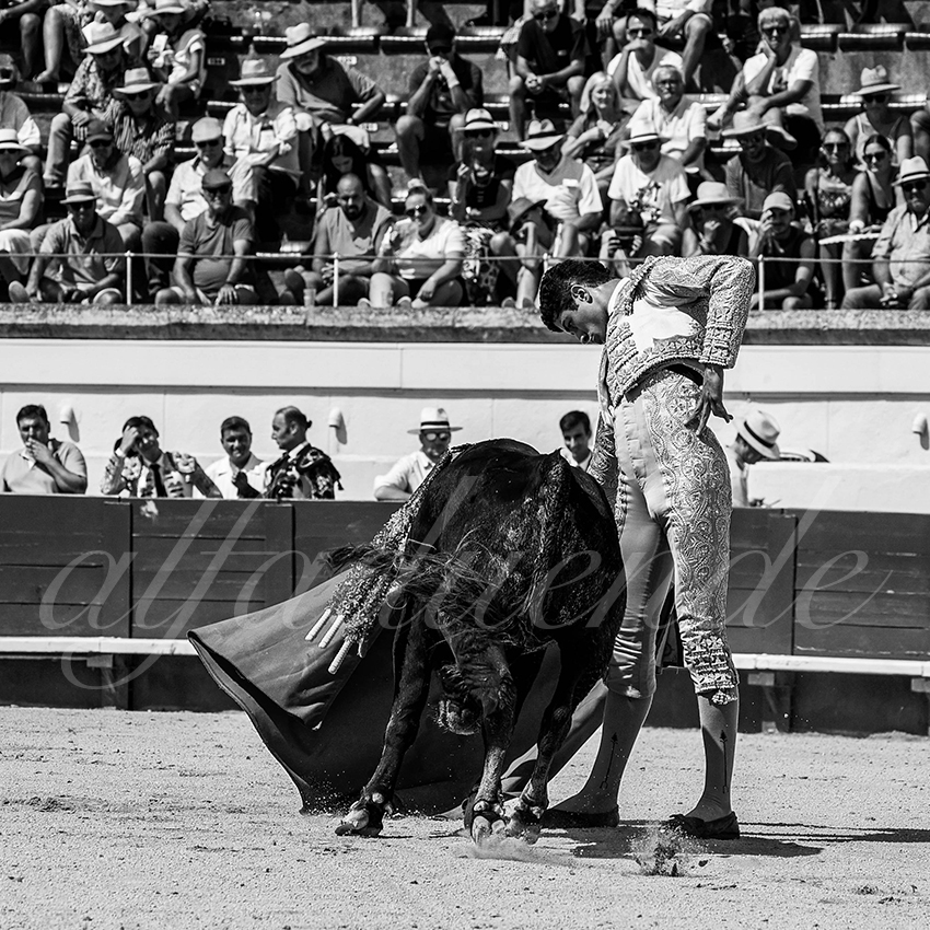 20220815 beziers 009