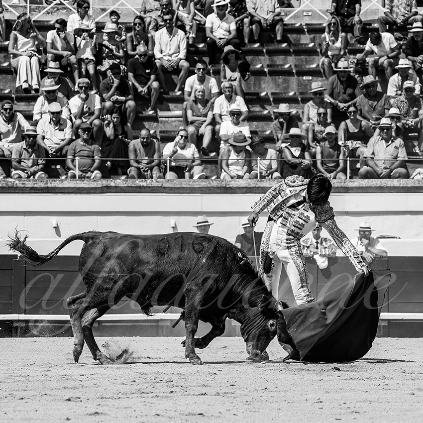 20220815 beziers 013