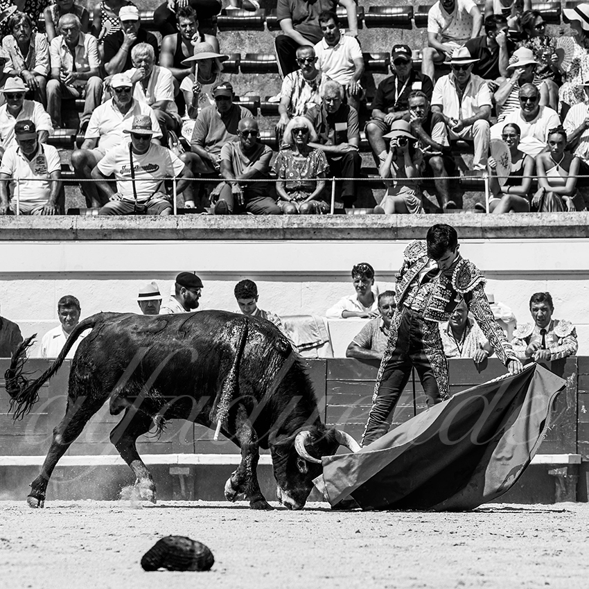 20220815 beziers 016