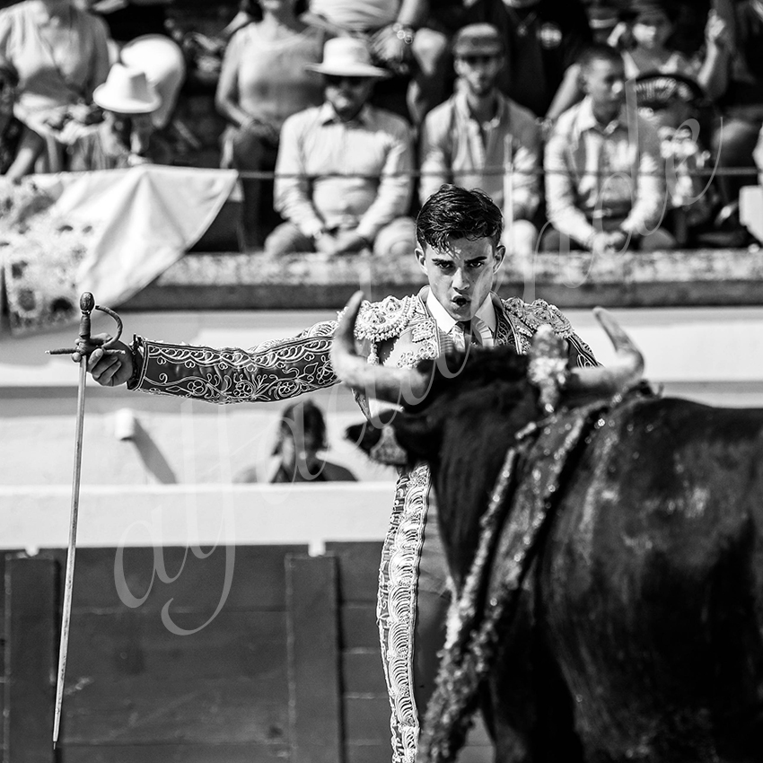 20210815 nsp beziers alfaduende 004 fd