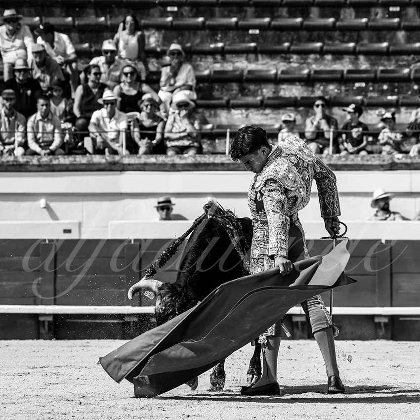 20210815 nsp beziers alfaduende 005 fd