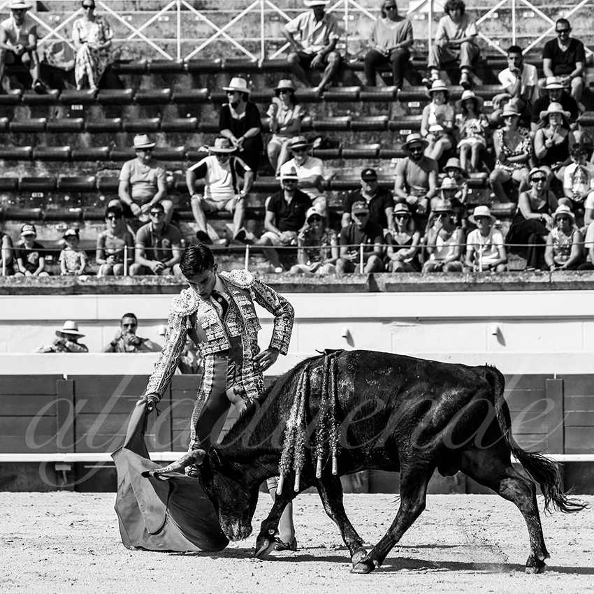 20210815 nsp beziers alfaduende 006 fd