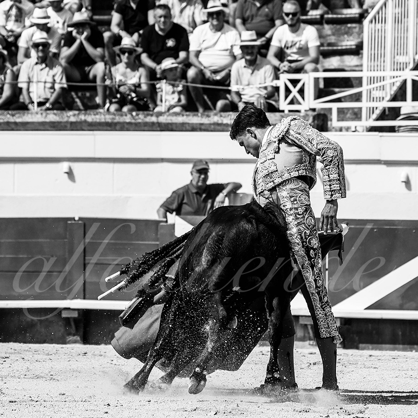 20210815 nsp beziers alfaduende 007 fd