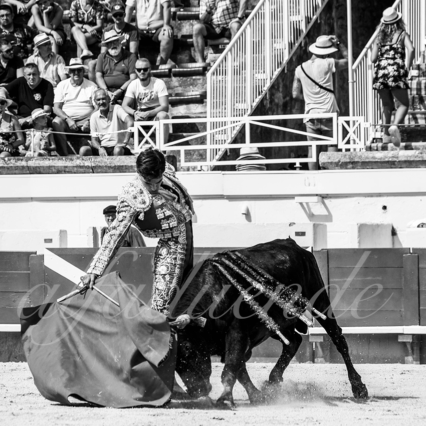 20210815 nsp beziers alfaduende 008 fd