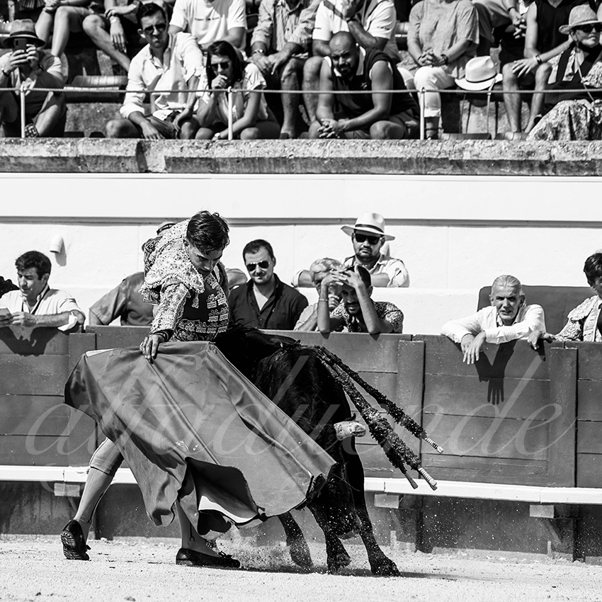 20210815 nsp beziers alfaduende 009 fd