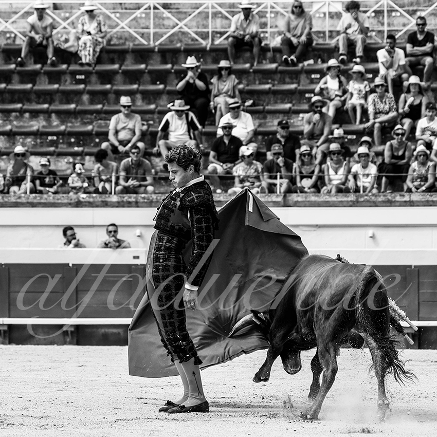 20210815 nsp beziers alfaduende 010 fd