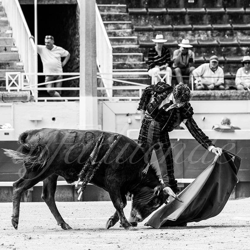 20210815 nsp beziers alfaduende 011 fd