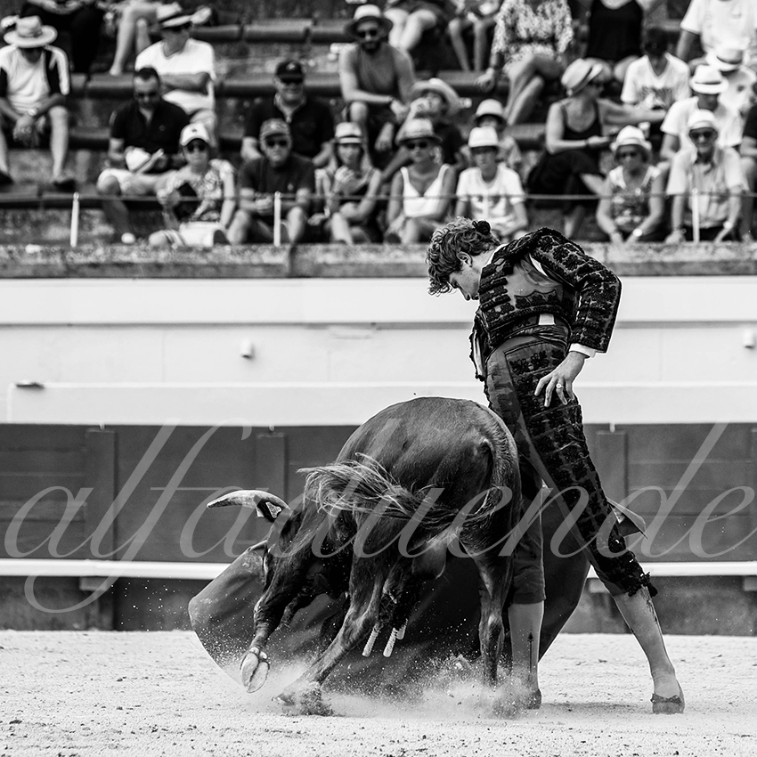 20210815 nsp beziers alfaduende 012 fd