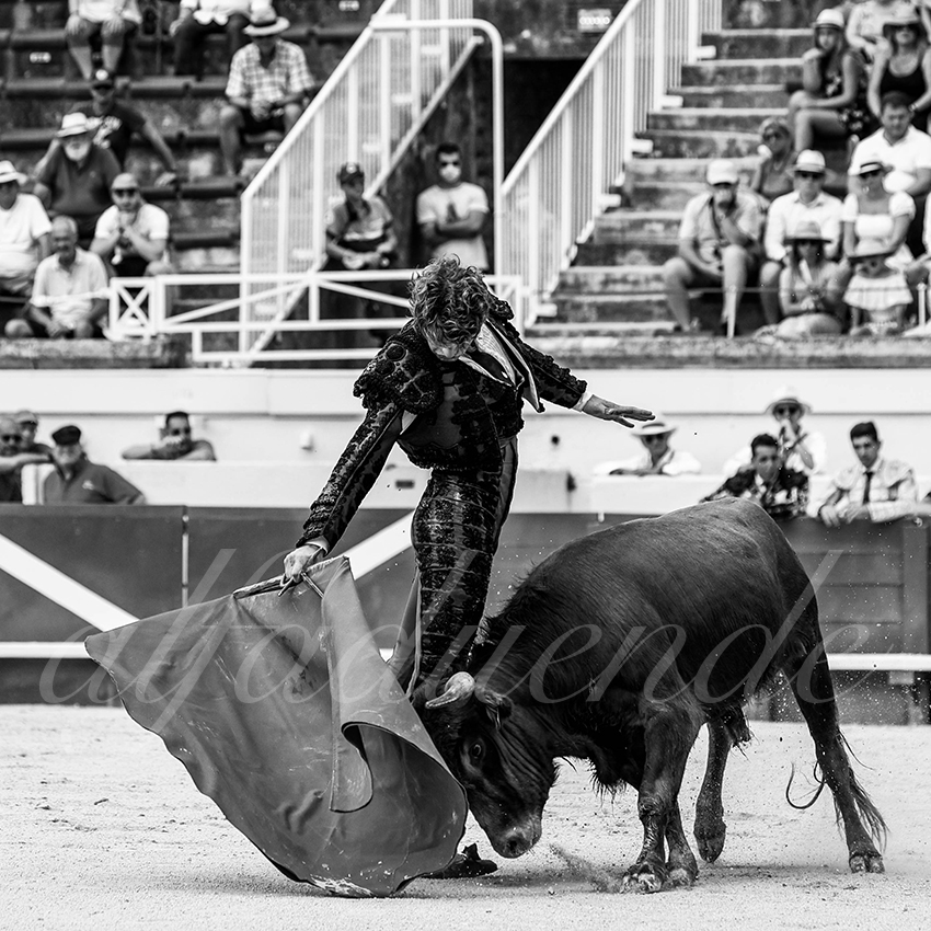 20210815 nsp beziers alfaduende 013 fd