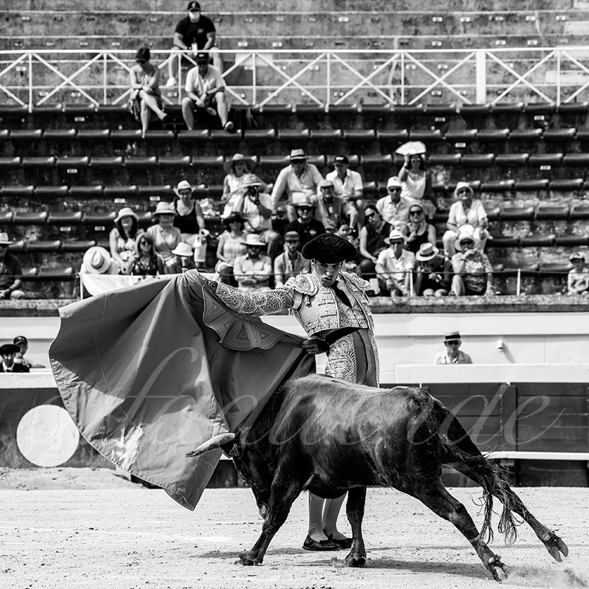 20210815 nsp beziers alfaduende 014 fd