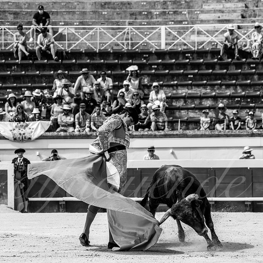 20210815 nsp beziers alfaduende 015 fd