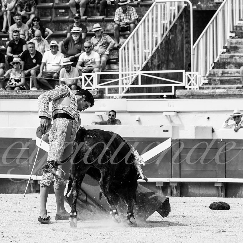 20210815 nsp beziers alfaduende 016 fd