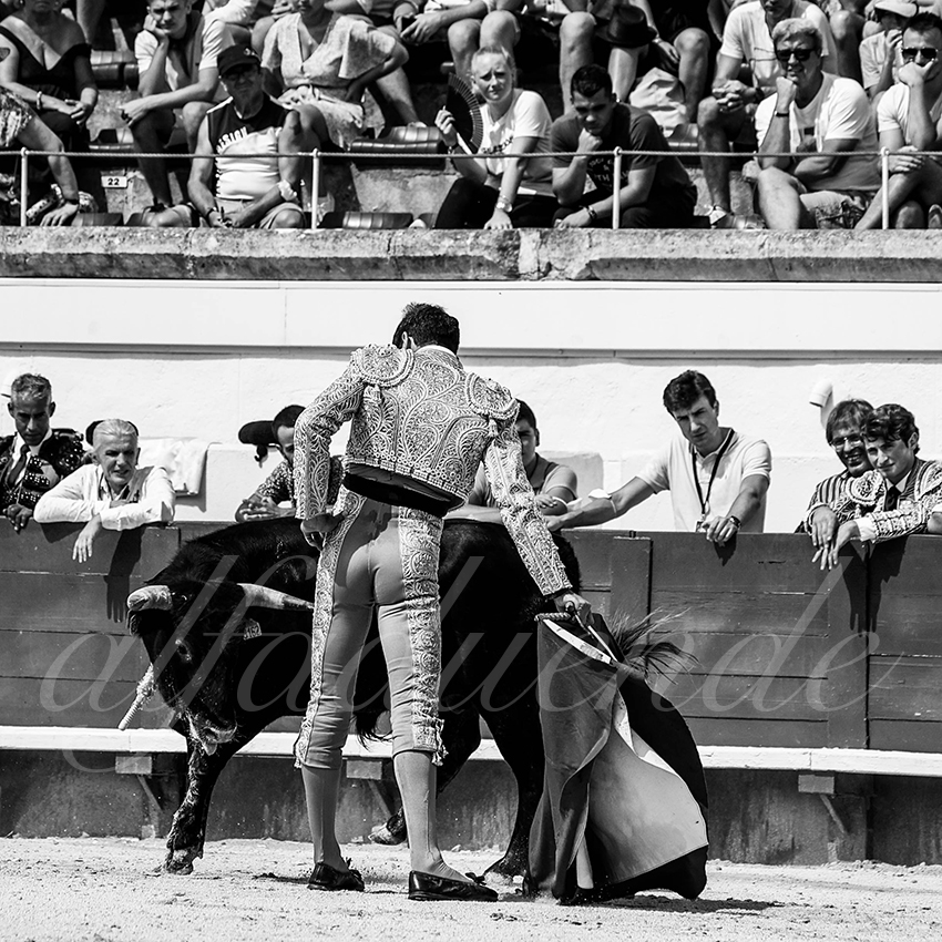 20210815 nsp beziers alfaduende 019 fd