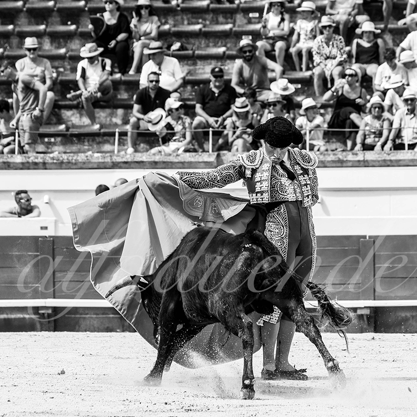 20210815 nsp beziers alfaduende 020 fd