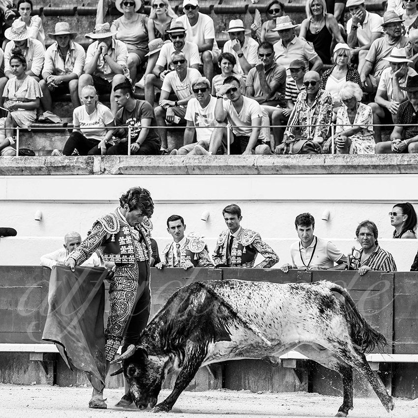 20210815 nsp beziers alfaduende 021 fd