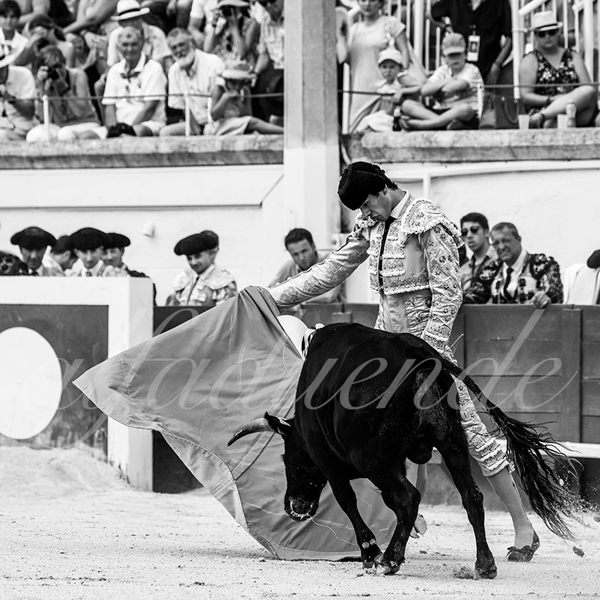 20210815 nsp beziers alfaduende 022 fd