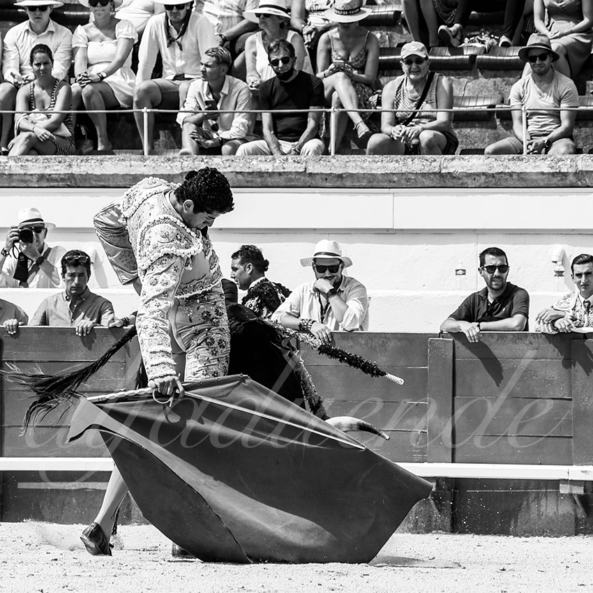 20210815 nsp beziers alfaduende 023 fd