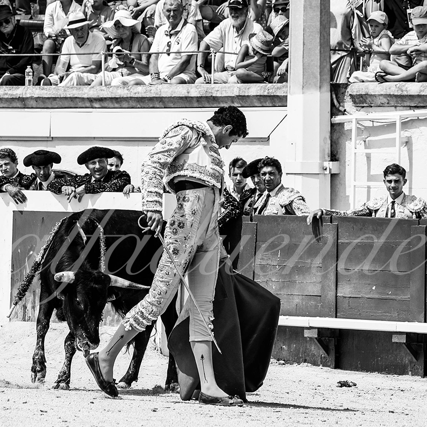 20210815 nsp beziers alfaduende 024 fd