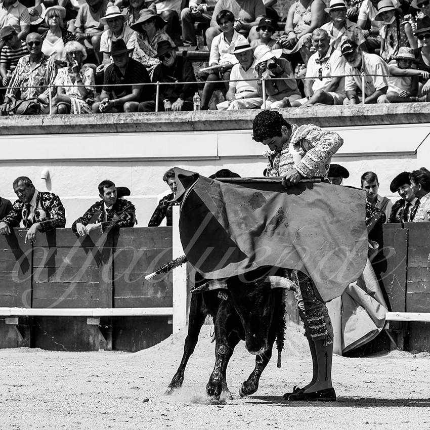 20210815 nsp beziers alfaduende 025 fd