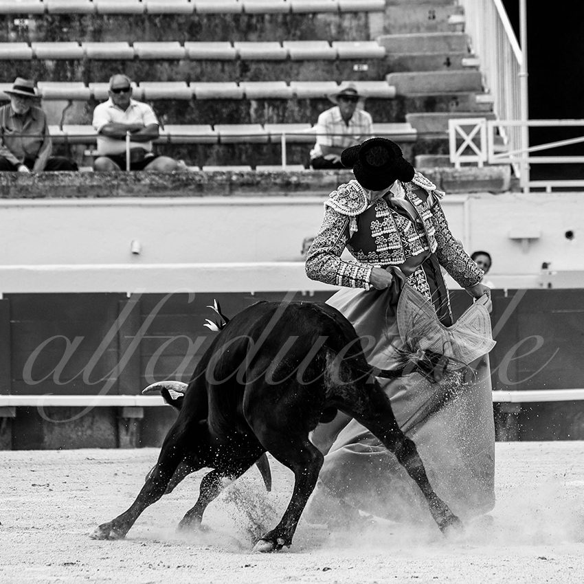 20210815 nsp beziers alfaduende 027 fd