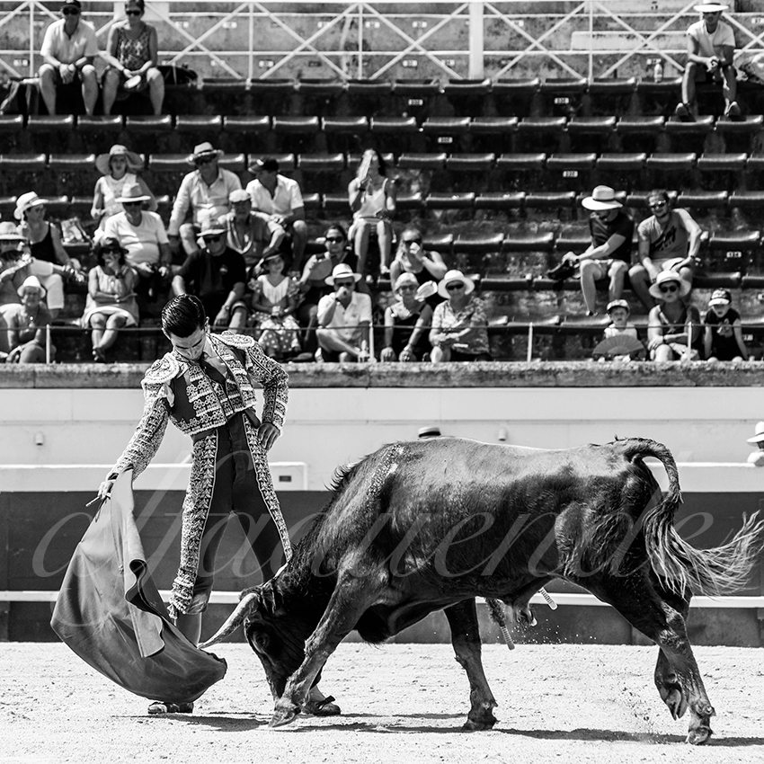 20210815 nsp beziers alfaduende 028 fd