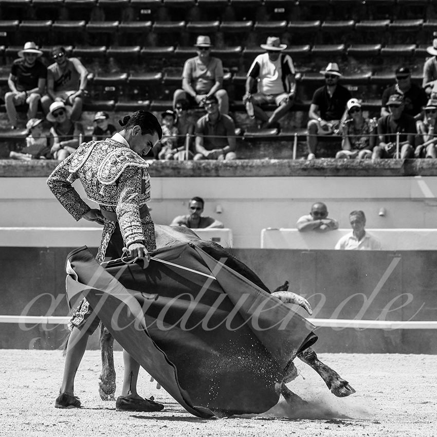 20210815 nsp beziers alfaduende 030 fd