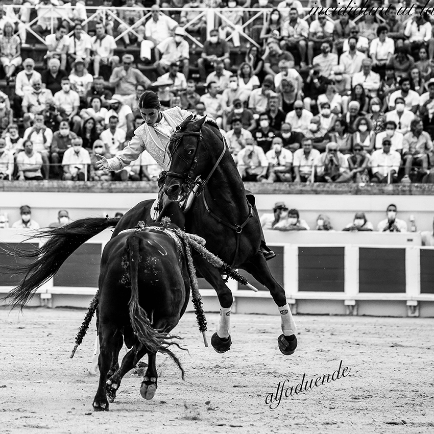 20200815 beziers 007