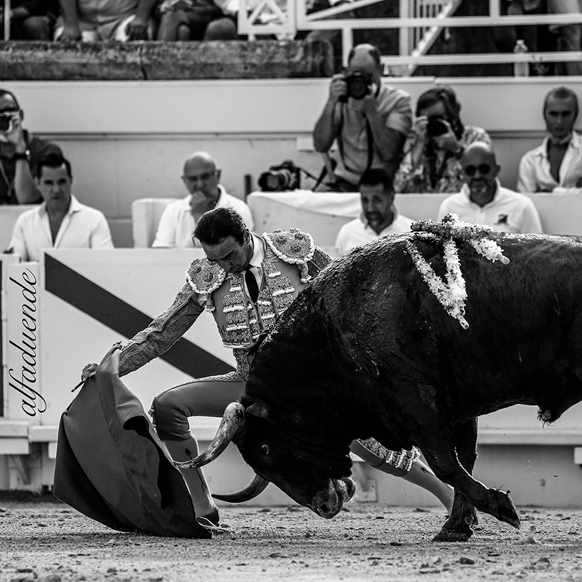 20200815 beziers 009