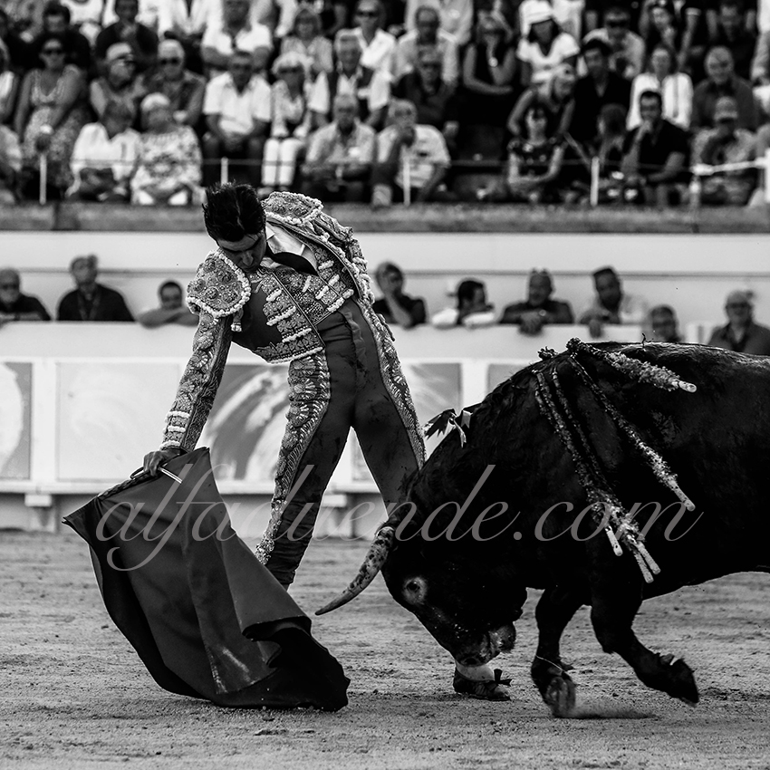 Alfaduendep58a7643beziers 20190815 12 copie